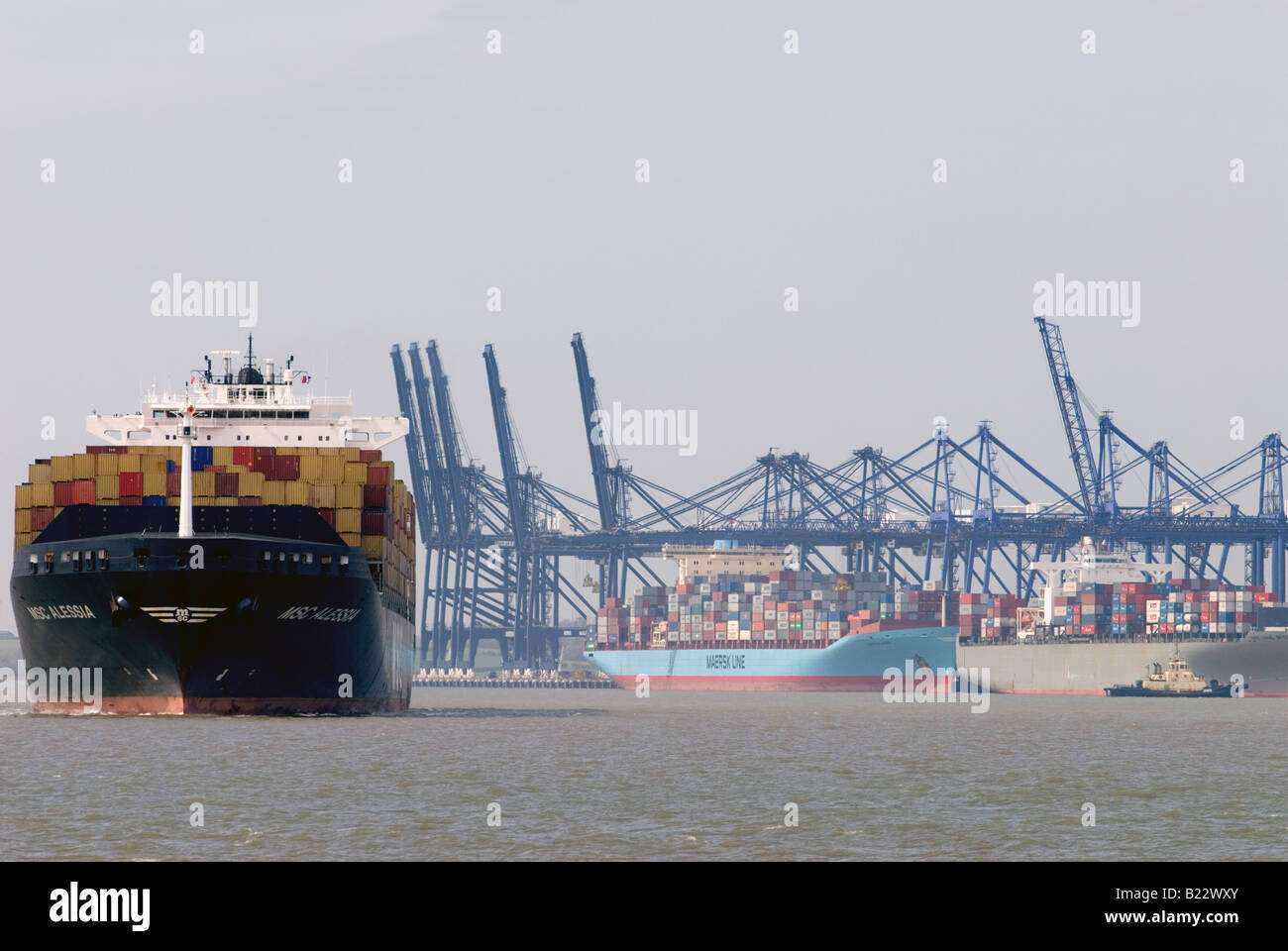 Containerschiff im Hafen von Felixstowe, Suffolk, UK. Stockfoto