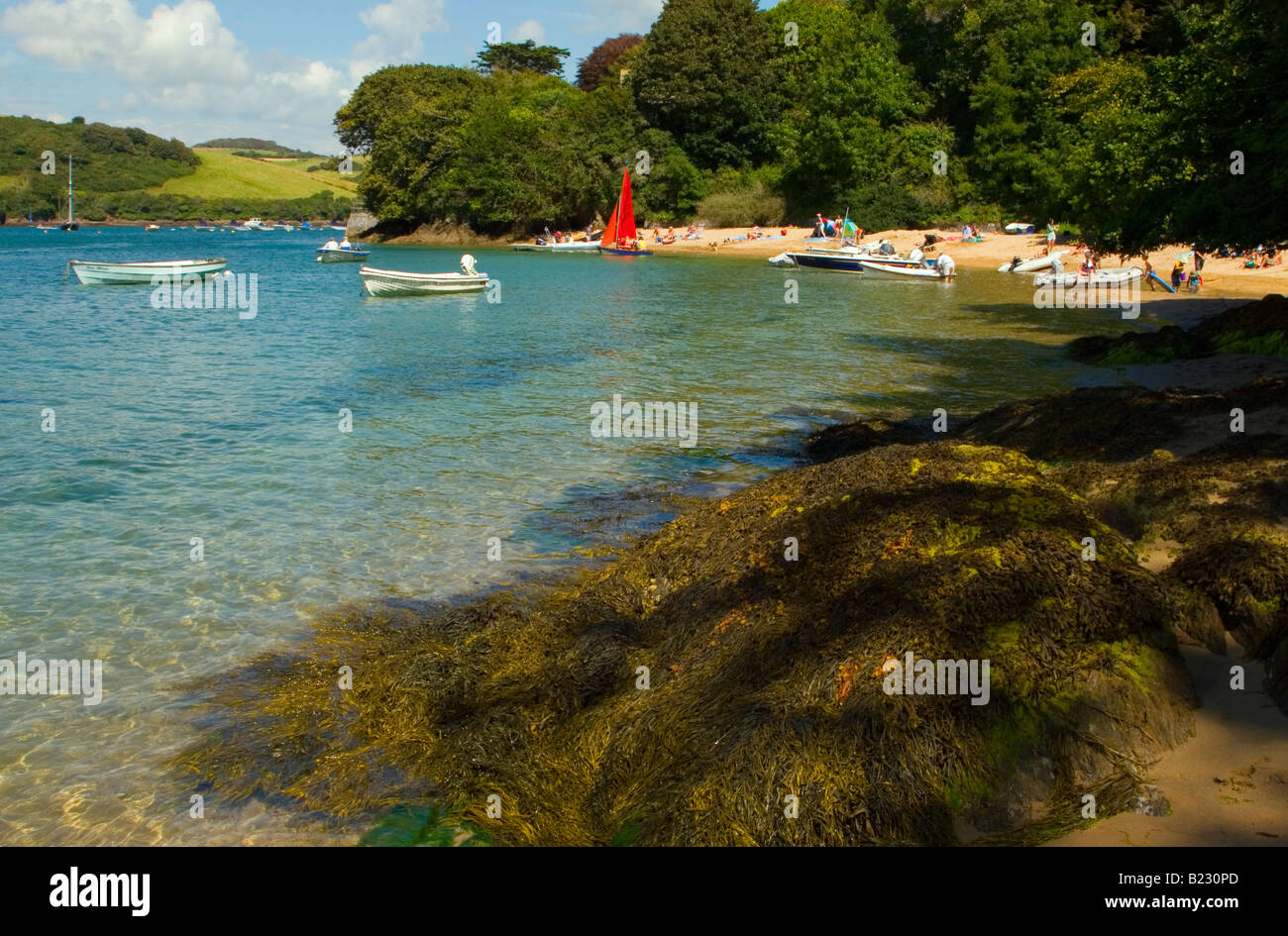 Ein blickt Richtung Norden bis Mündung des Salcombe, nehmen am Strand in East Portlemouth mit Felsen und Boote sichtbar. Stockfoto