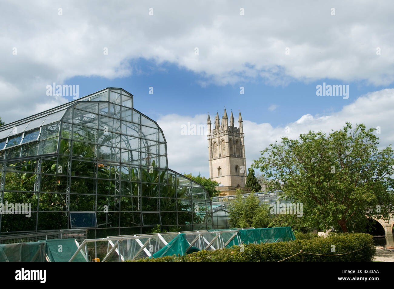 Der Botanische Garten in Oxford eines der ältesten medizinischen Gärten in Großbritannien blickt in Richtung Magdalen College Turm Stockfoto