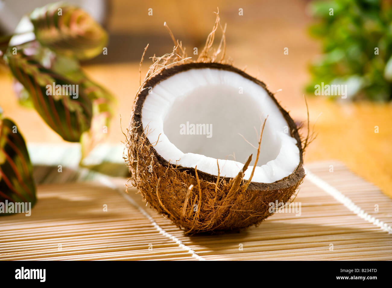 Stillleben mit halben Kokosnuss in einem Umfeld Stockfoto