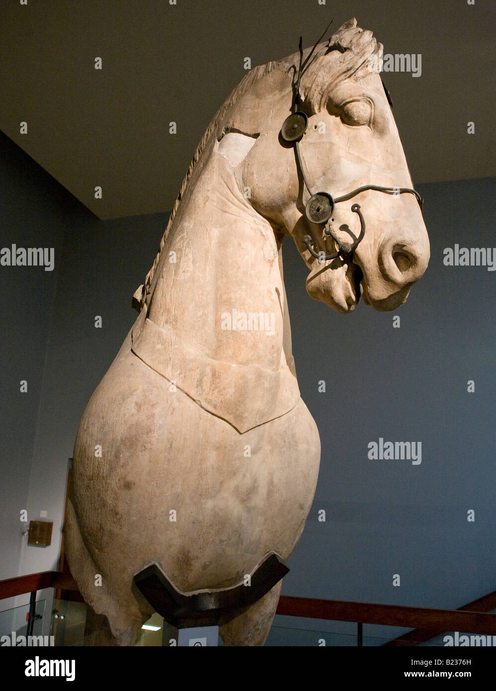 Aus Marmor Pferd aus dem Grab des Halicarnasus das British Museum London UK Europe Stockfoto
