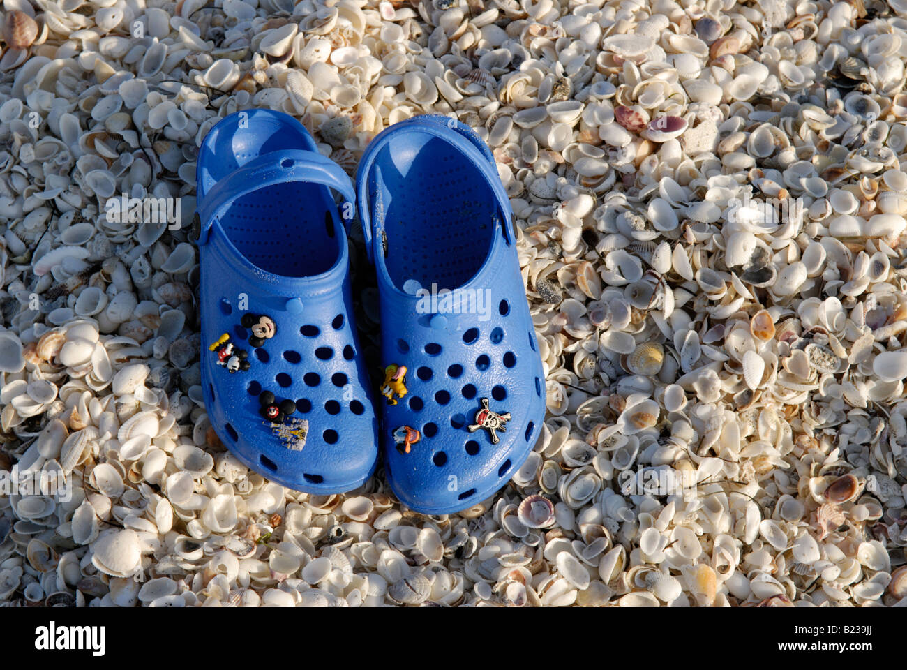 Des Kindes blauen Crocs auf Muscheln am Strand Stockfoto