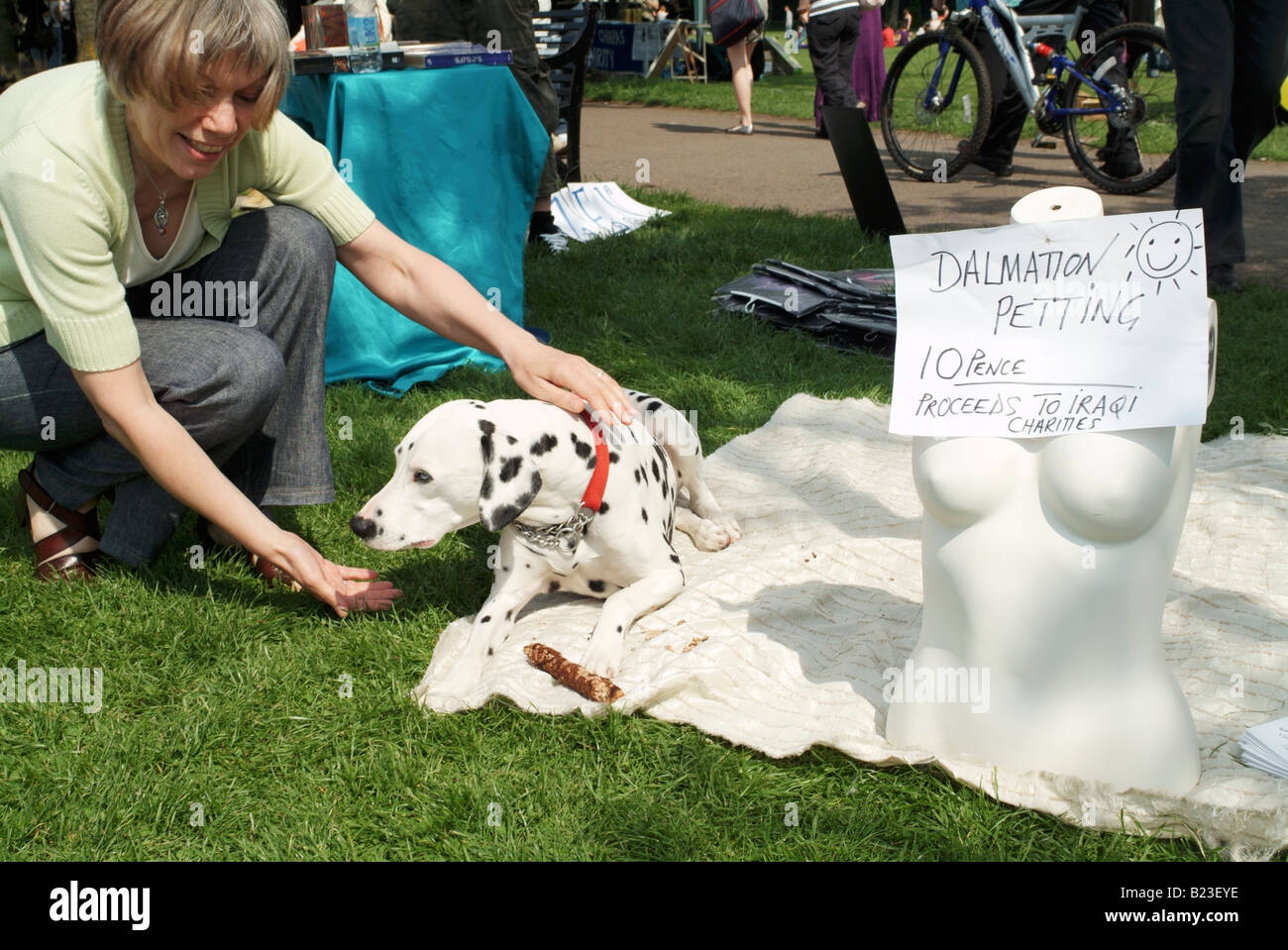 Streicheln ein Dalmatiner für wohltätige Zwecke auf dem 2008 wiesen Festival, Edinburgh Stockfoto