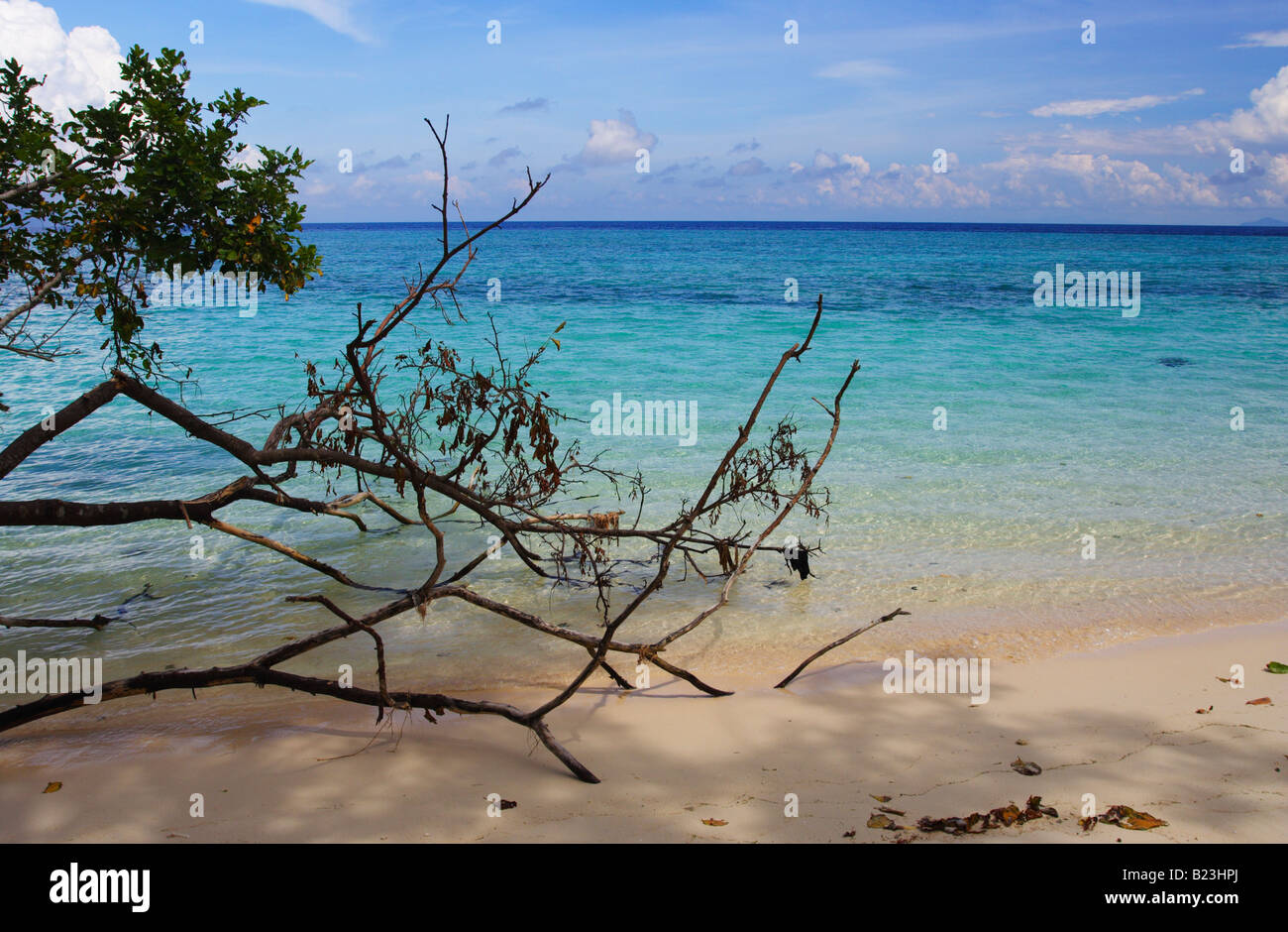Der Sulu-See rund um Pulau Sipadan Sabah Malaysia Stockfoto