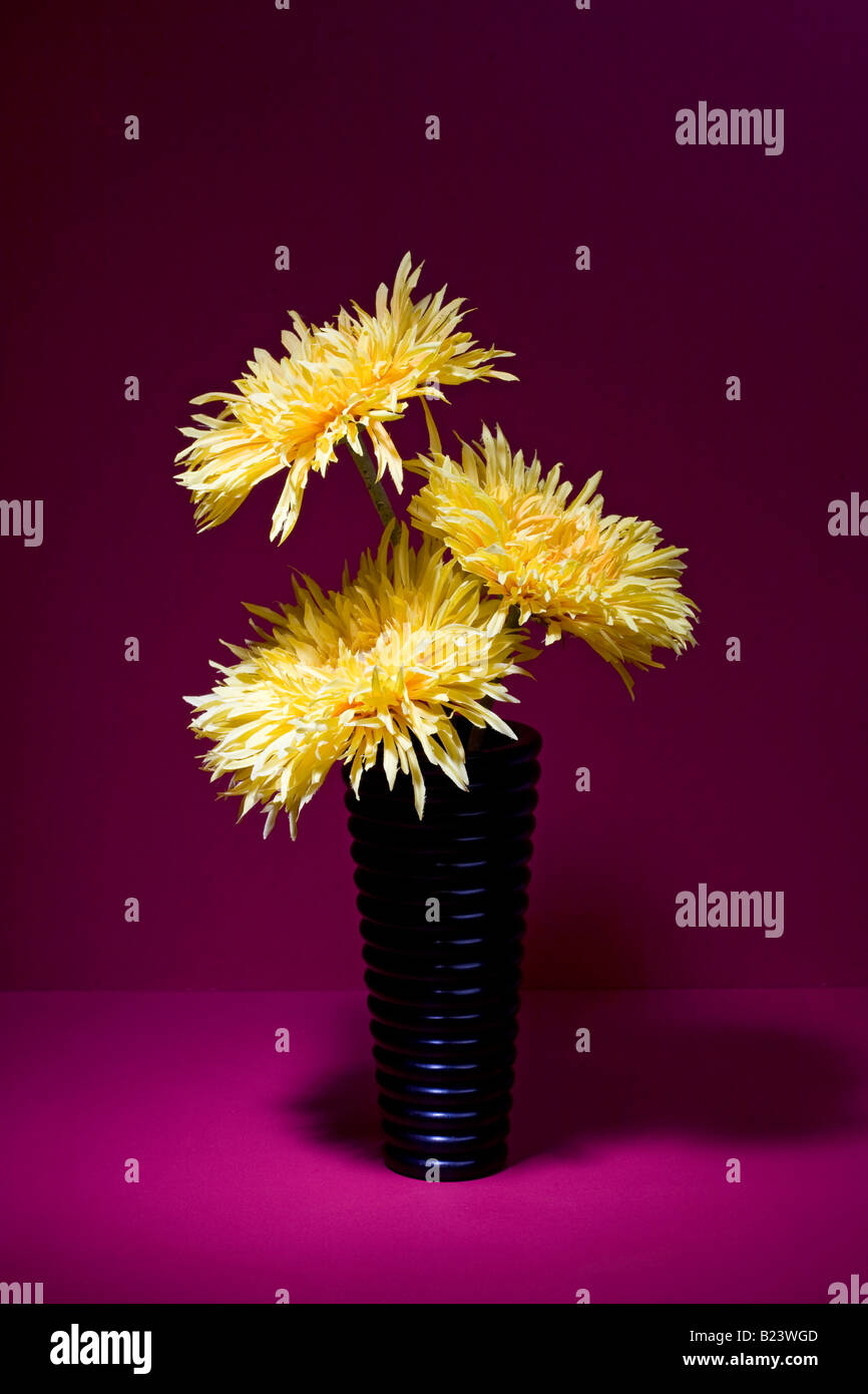 Vase mit gelben Blüten im Rampenlicht Stockfoto