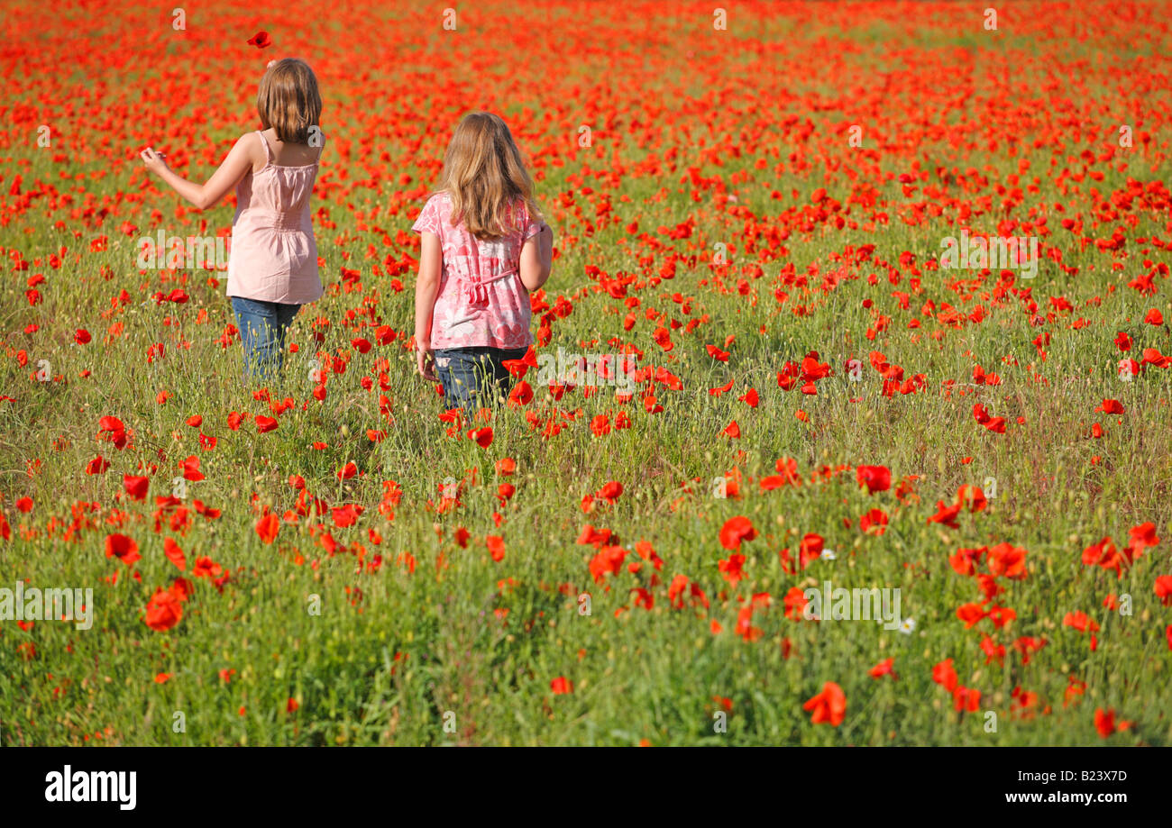 Zwei junge Mädchen zu Fuß durch ein Mohnfeld, einer in der Hand einer Blume empor. Stockfoto
