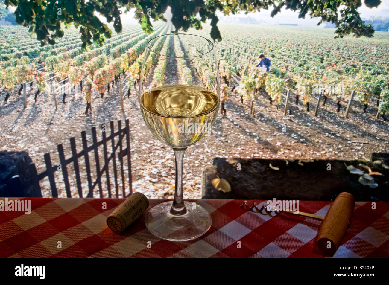 Weißweinprobe auf einem Tisch mit Korkenzieherkork und typisch französischer Tischdecke mit Karomuster, Traubenpflücker und Herbstweinberg hinter Frankreich Stockfoto