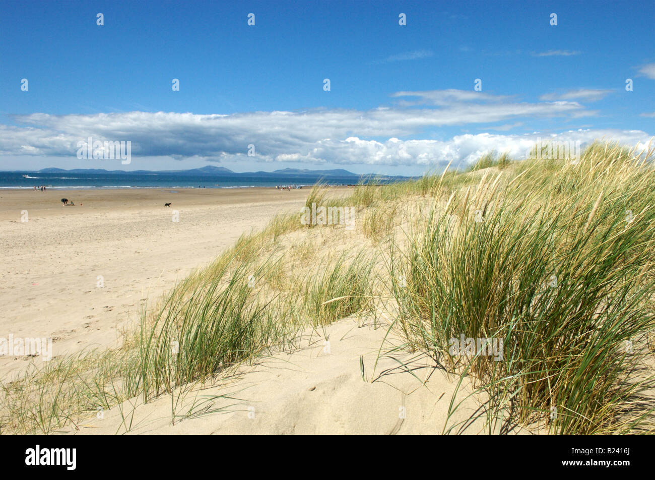 Der Strand von Shell Island, Gwynedd, Nordwales Stockfoto