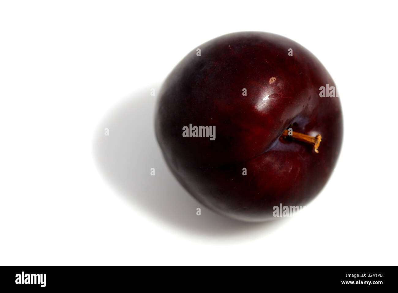 Violette Mirabelle-Pflaume Stockfoto