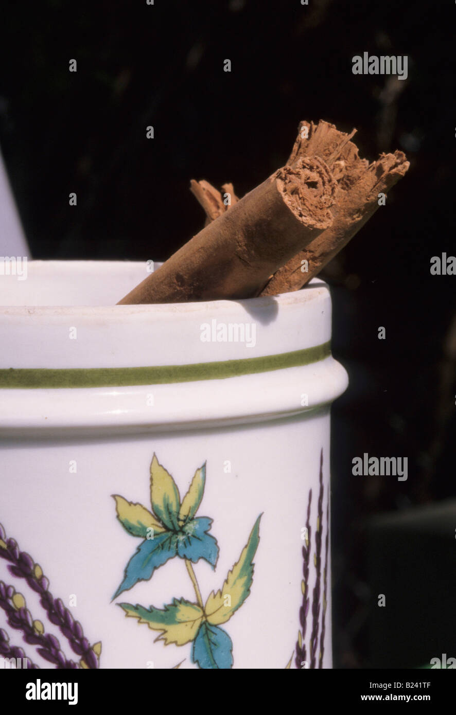 ZIMTSTANGE GEWÜRZ GLAS WÜRZIGE LEBENSMITTEL KOCHEN Stockfoto