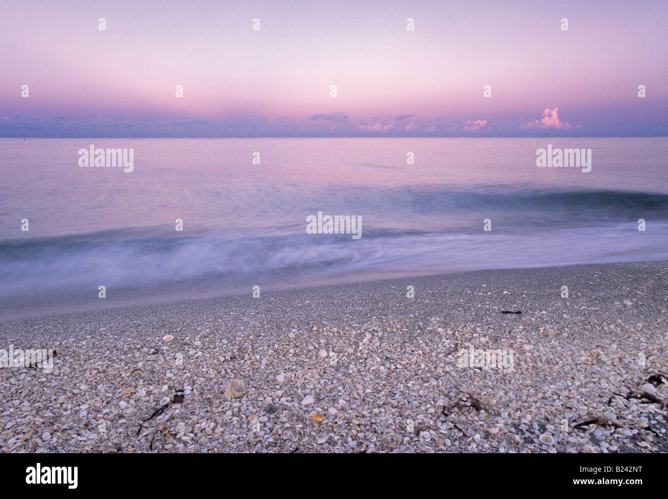 Muscheln am Strand Sonnenaufgang Bowmans Beach County Park Sanibel Island Florida USA Stockfoto