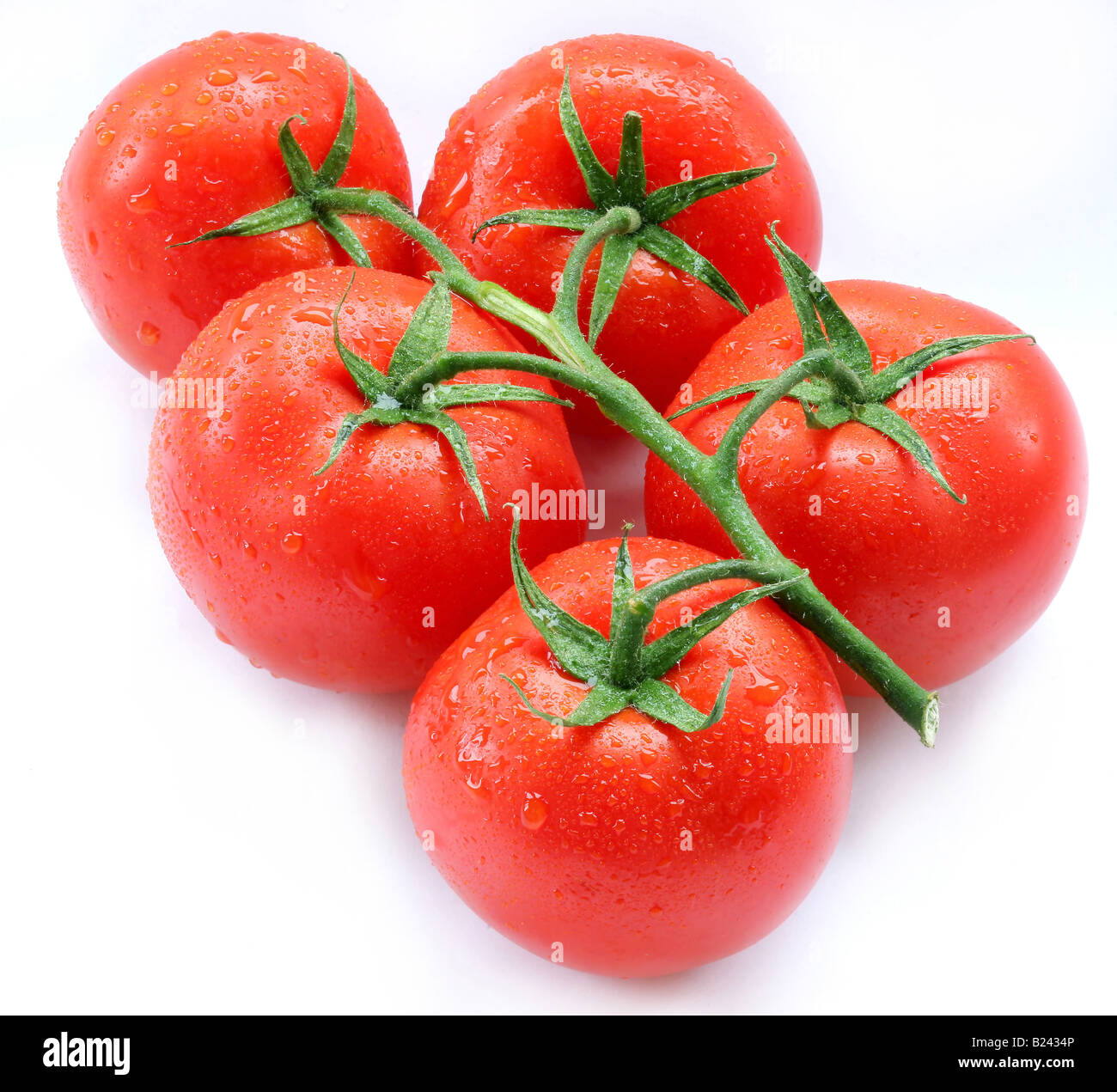 Tomaten-Objekte auf weißem Hintergrund Stockfoto
