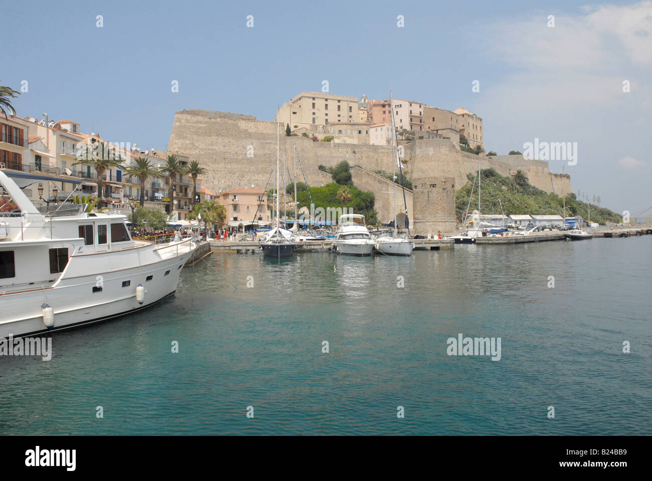 Hafen und die Zitadelle in Calvi im Norden Korsikas Stockfoto