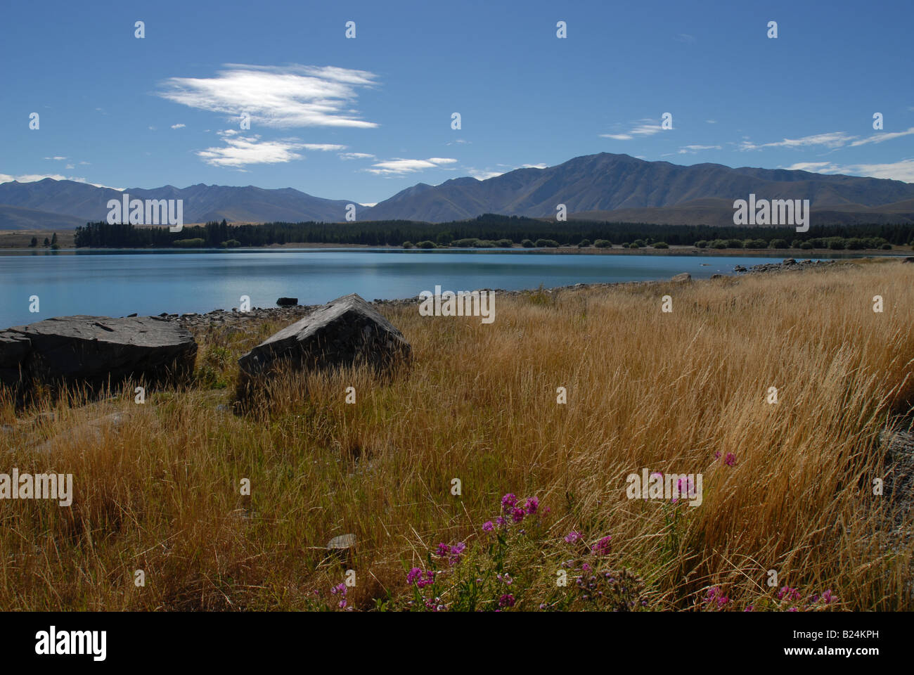Lake Tekapo Stockfoto