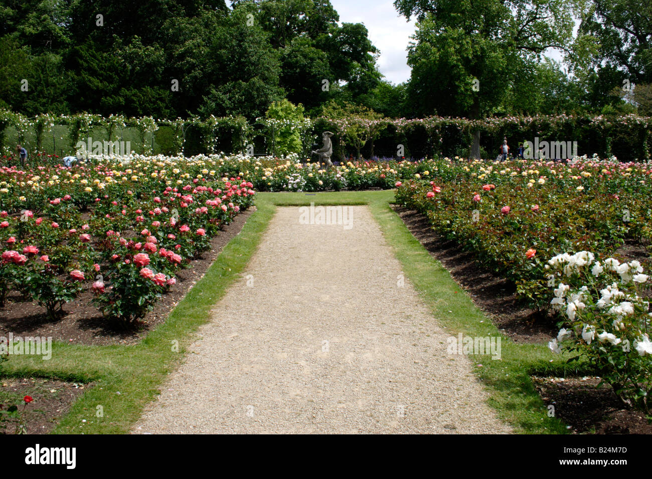 Rosengärten in Blenheim Palace, Oxfordshire Stockfoto