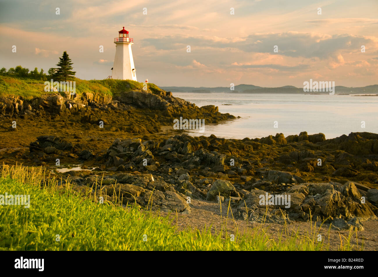 Kanada New Brunswick Landschaft der Punkt grün Lighthouse Bay Of Fundy Küste in der Nähe von St. George Stockfoto