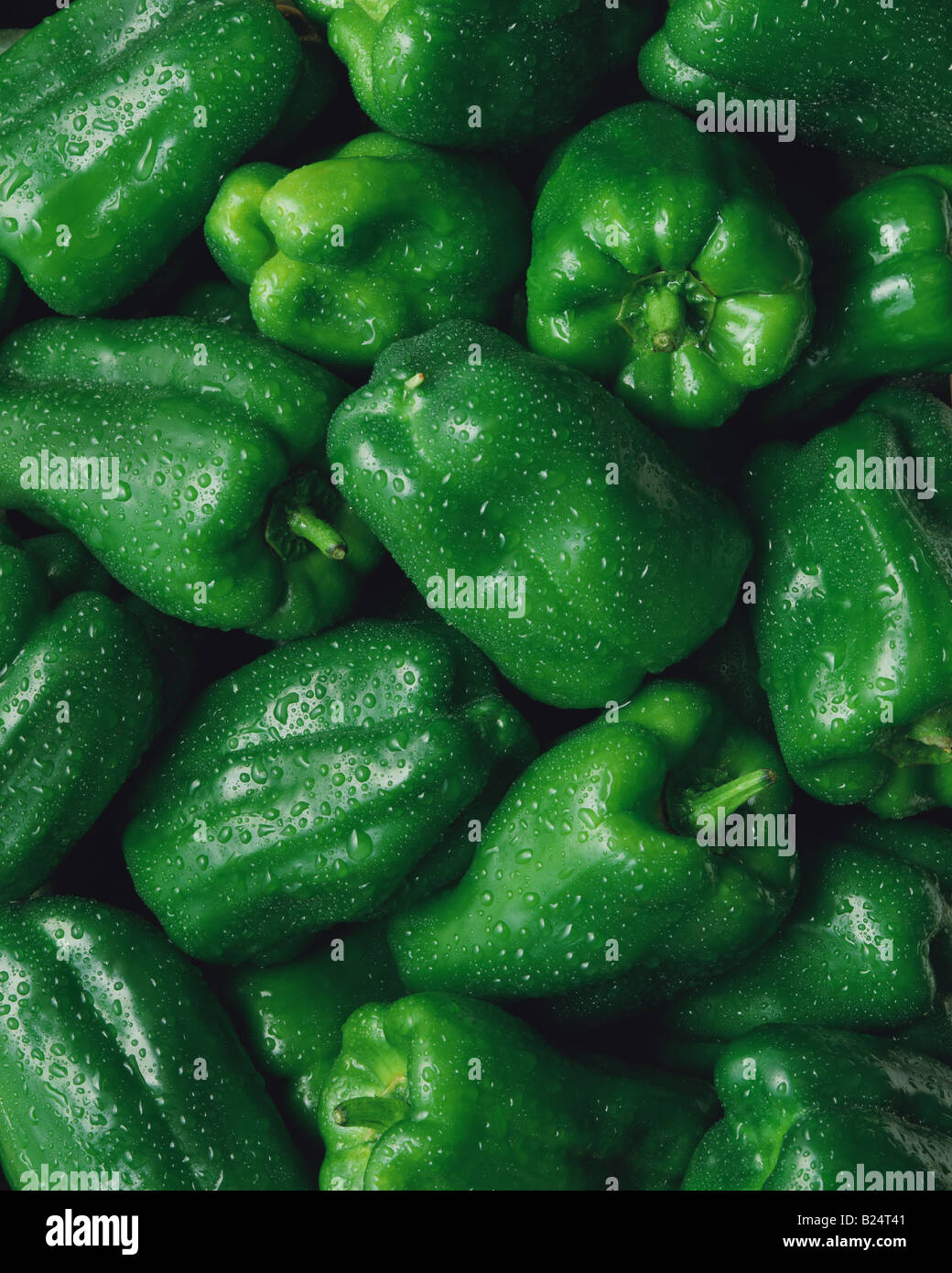 Wassertropfen auf grünem Paprika Stockfoto