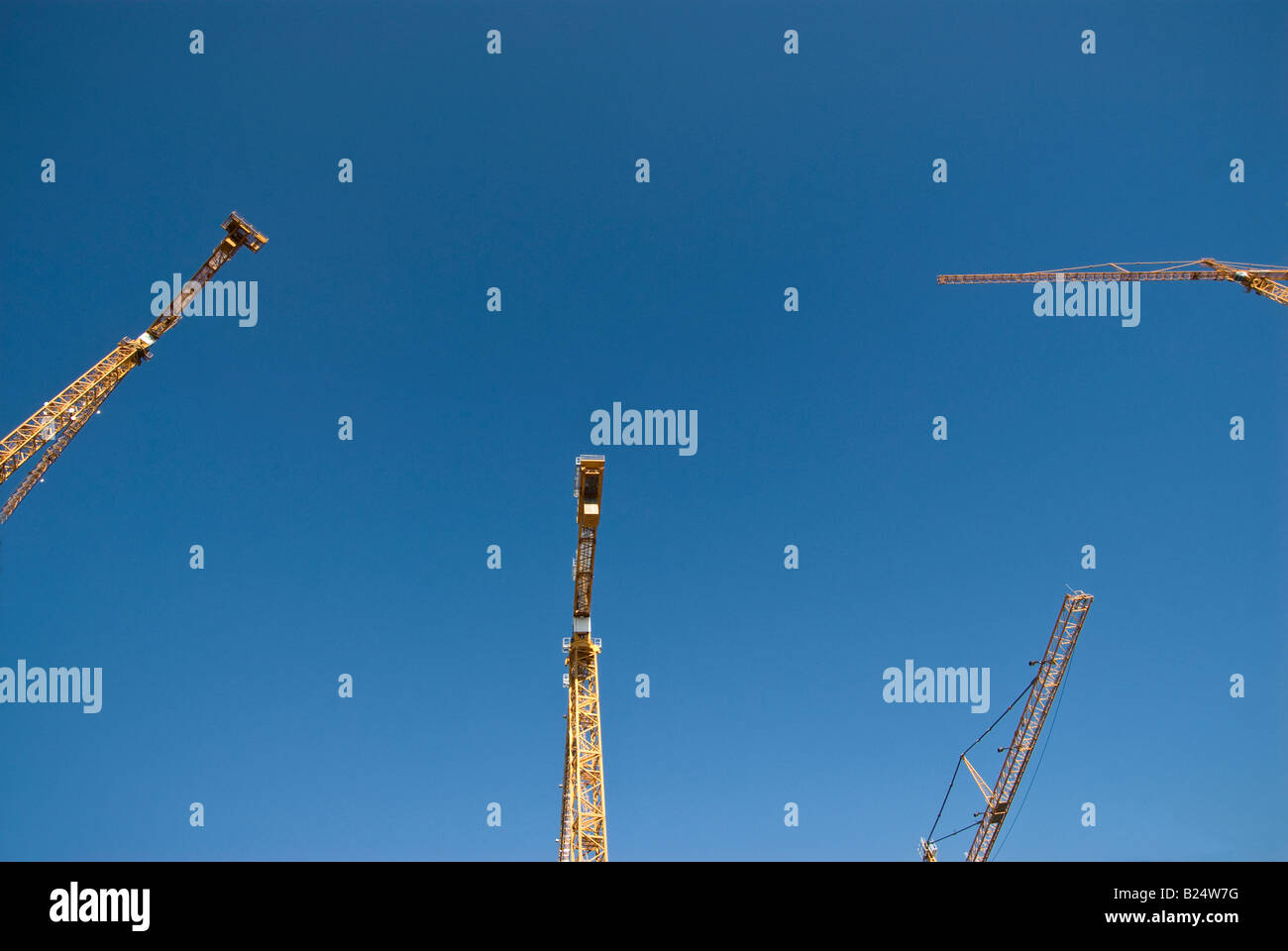 Baukräne an Projektstandorten in der Innenstadt von Bellevue Washington Stockfoto