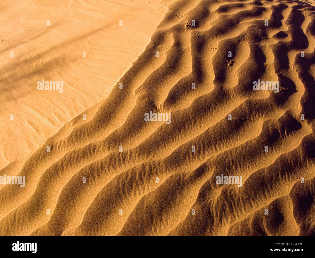 Sanddüne zeigen Wellen geformt durch wind Stockfoto