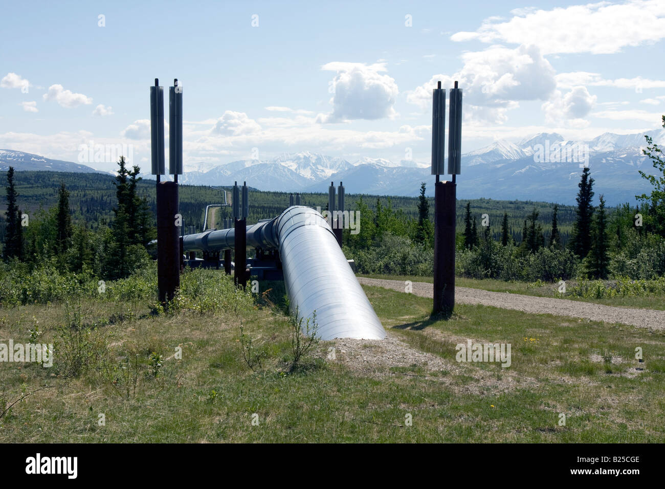 Trans-Alaska-Pipeline-System Stockfoto