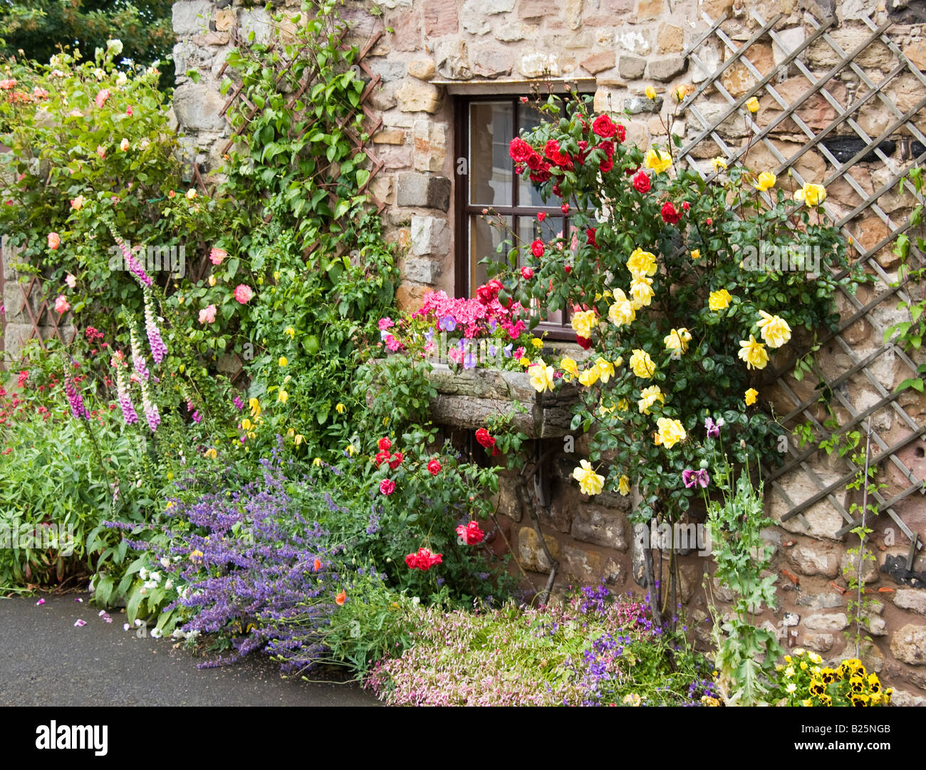 Blumen wachsen außerhalb Hütte in Landschaft Stockfoto