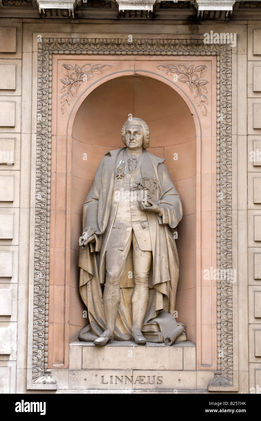 Statue von Carl von Linné außerhalb der Royal Academy of Arts London England UK Stockfoto