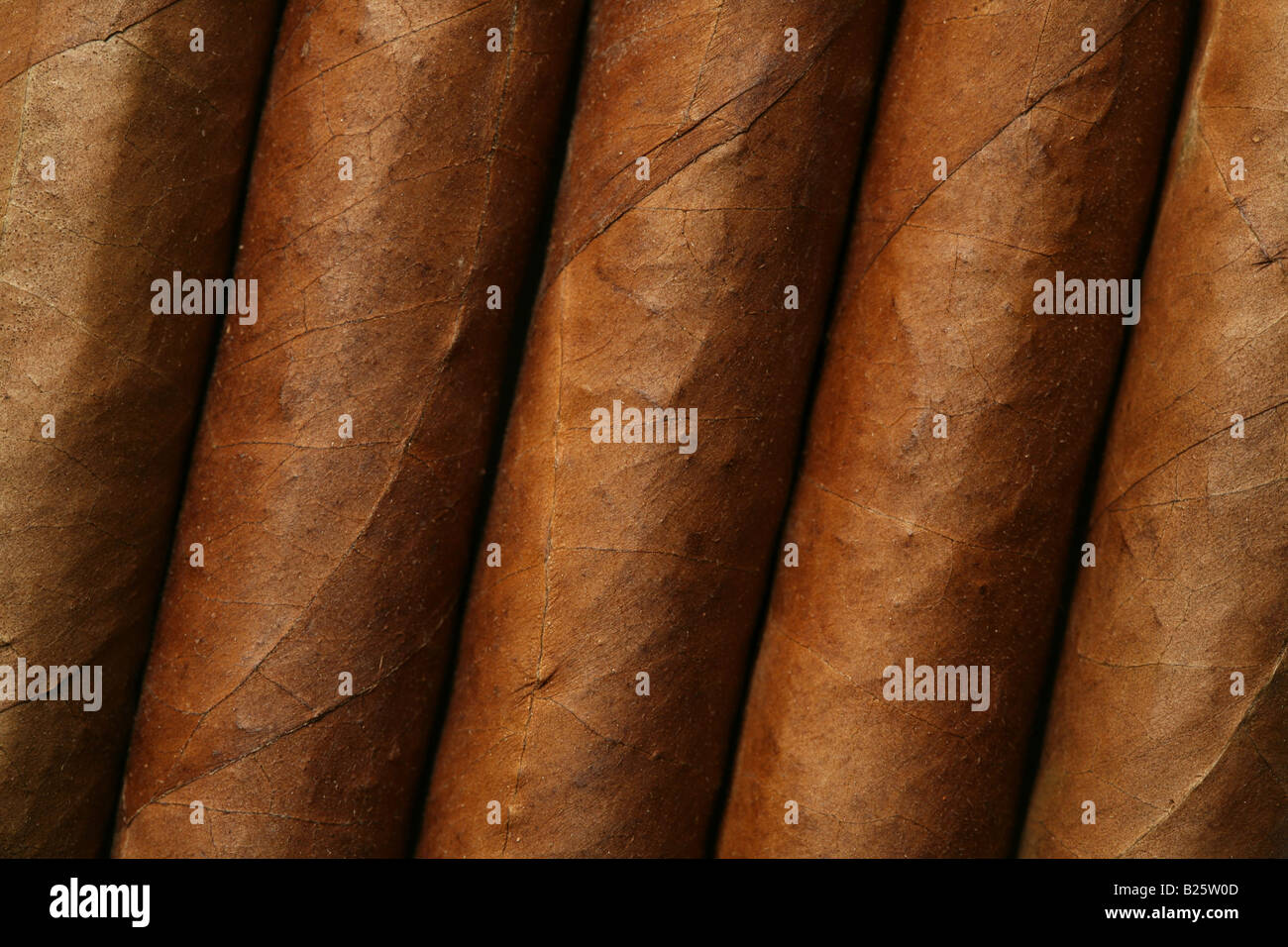 Havanna-Zigarren-Textur Stockfoto