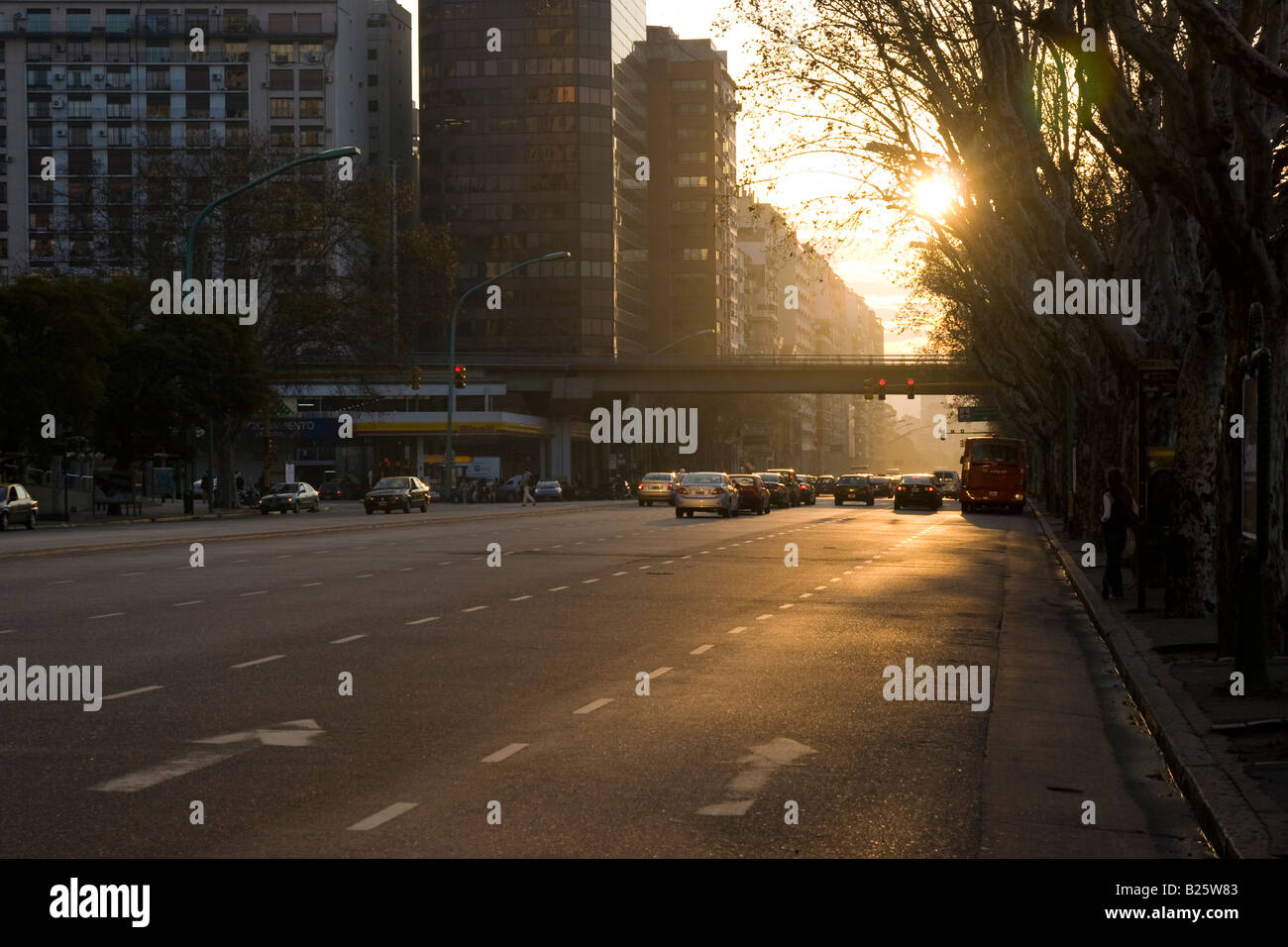 Avenida Libertador, Buenos Aires, Argentinien, Südamerika Stockfoto