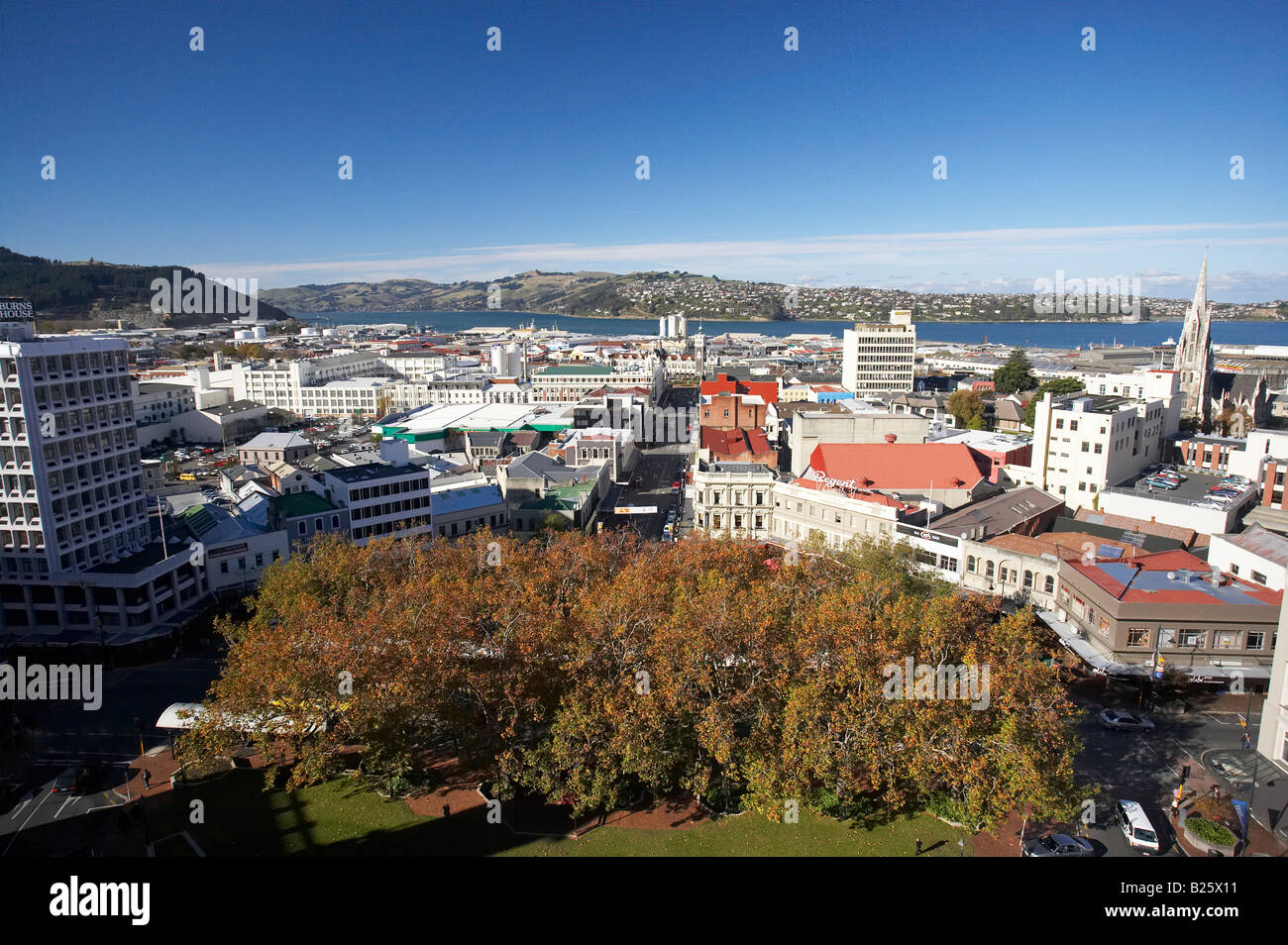 Herbst Bäume der Octagon Dunedin Otago Südinsel Neuseelands Stockfoto