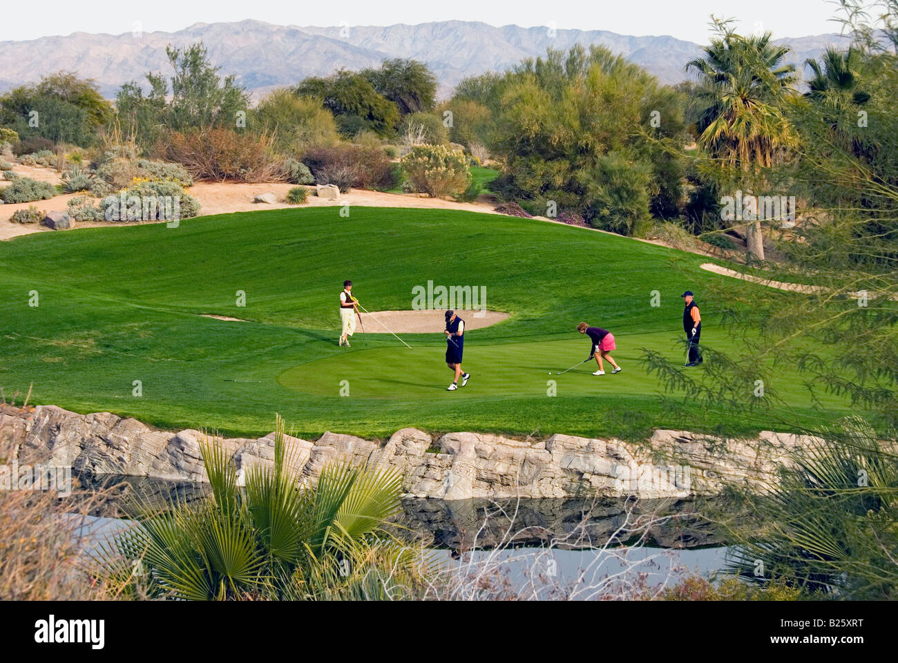 Wüste Weiden öffentlichen Golfplatz schöne schöne malerische Western uns USA in Palm Desert in der Nähe von Palm Springs CA Stockfoto