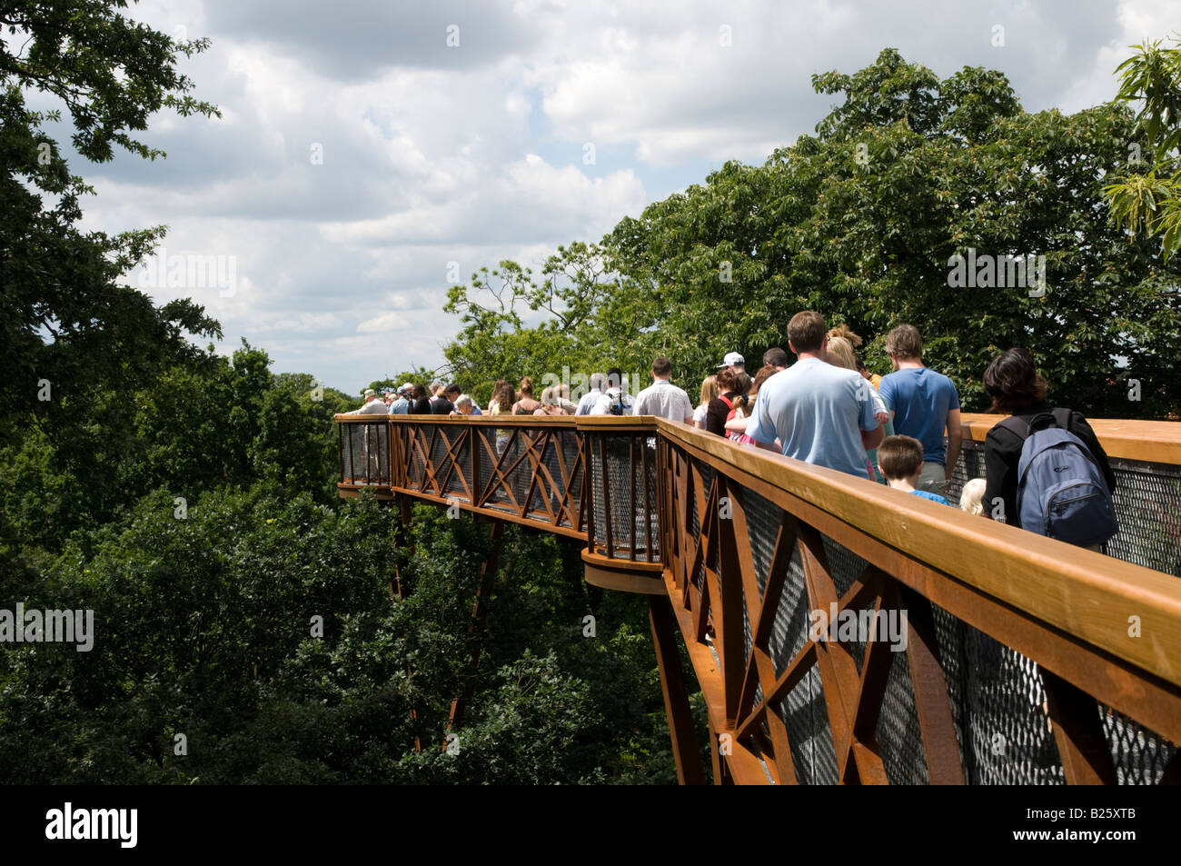 Xstrata Treetop Walkway in Kew Gardens London England UK Stockfoto
