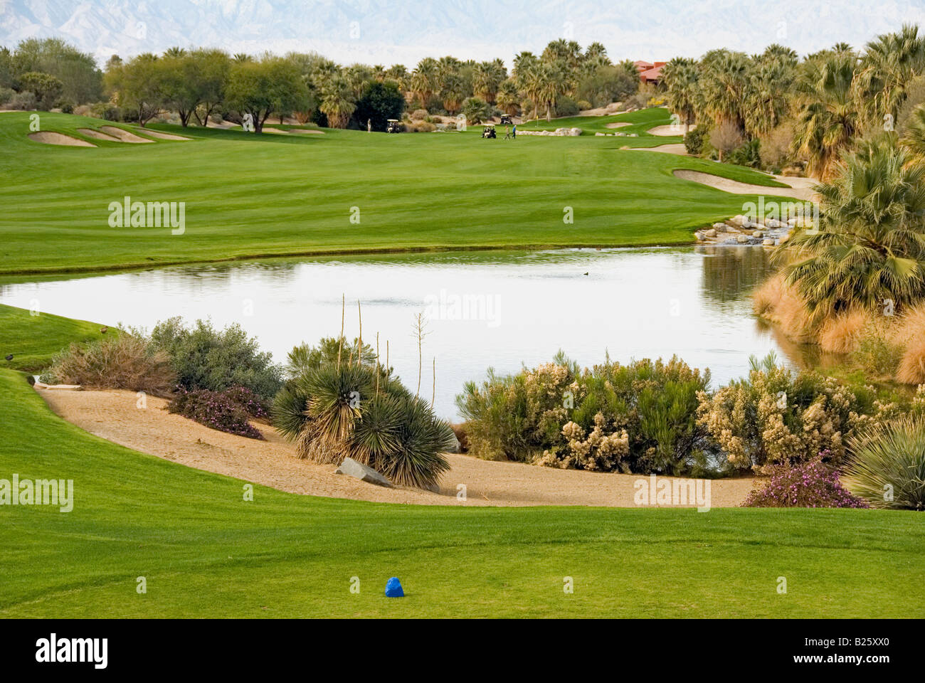 Wüste Weiden öffentlichen Golfplatz schöne schöne malerische Western uns USA in Palm Desert in der Nähe von Palm Springs CA Stockfoto