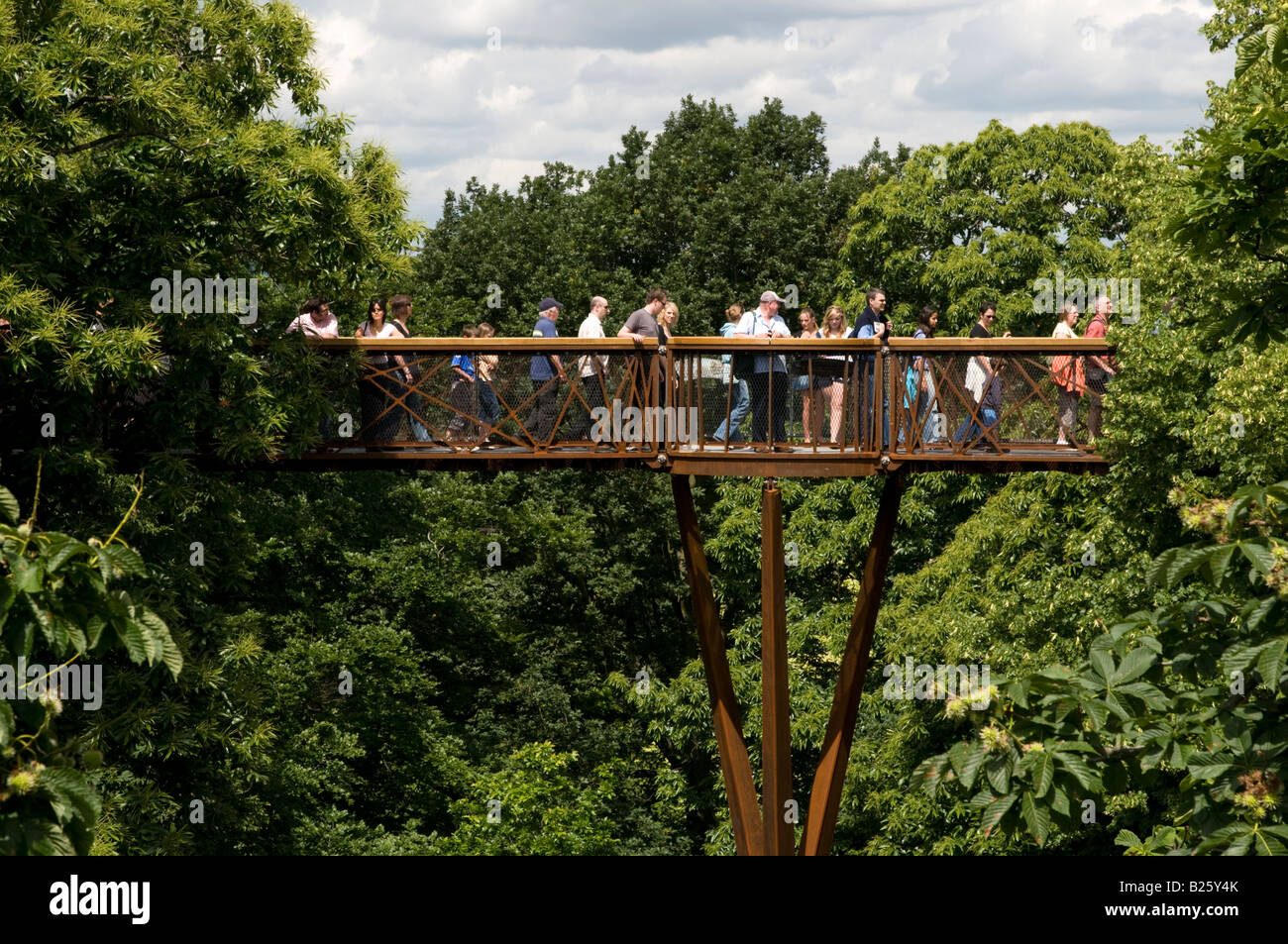 Xstrata Treetop Walkway in Kew Gardens, London, England UK Stockfoto