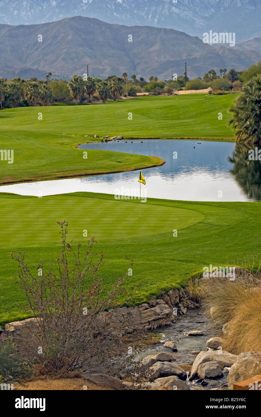 Wüste Golfplatz Weiden schöne schöne malerische Western uns USA in Palm Desert in der Nähe von Palm Springs CA Stockfoto