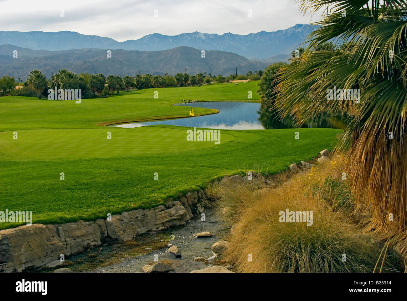 Wüste Golfplatz Weiden schöne schöne malerische Western uns USA in Palm Desert Palm Springs Kalifornien Stockfoto