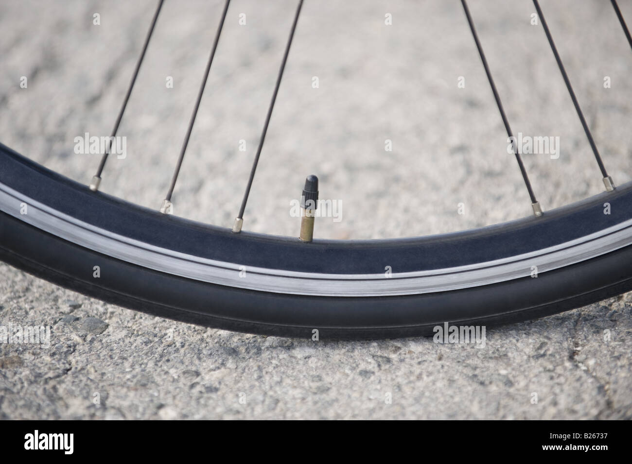 Nahaufnahme von Fahrrad Luftventil und Reifen Stockfoto