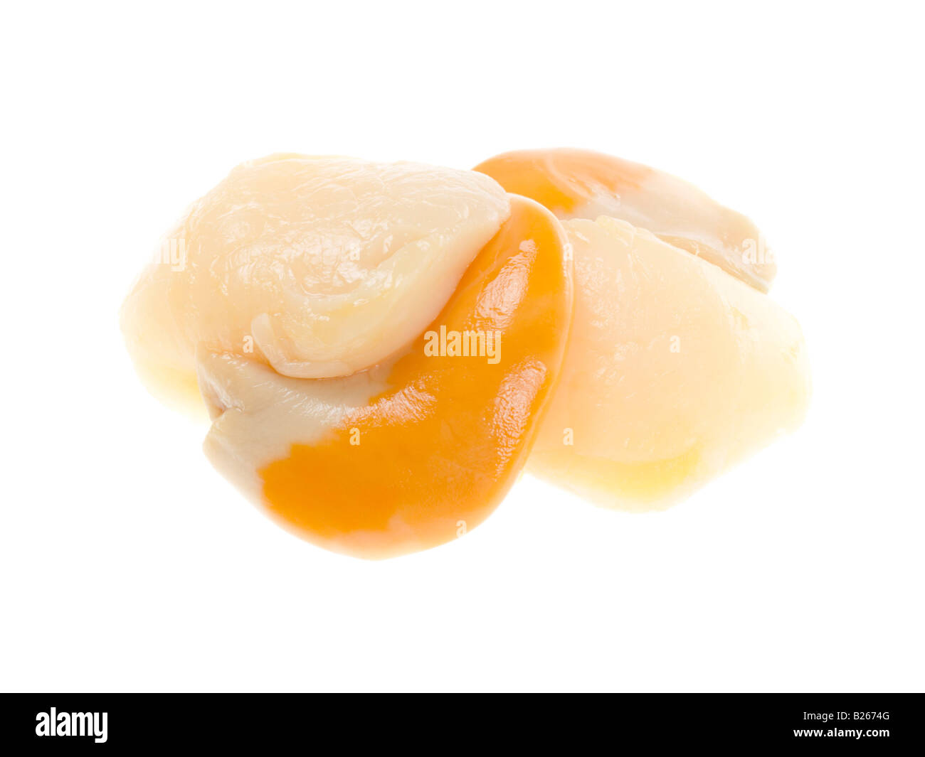 Frische süße Ungekocht Raw König Jakobsmuscheln aus der Shell mit kein Volk gegen einen weißen Hintergrund und einen Freistellungspfad Stockfoto