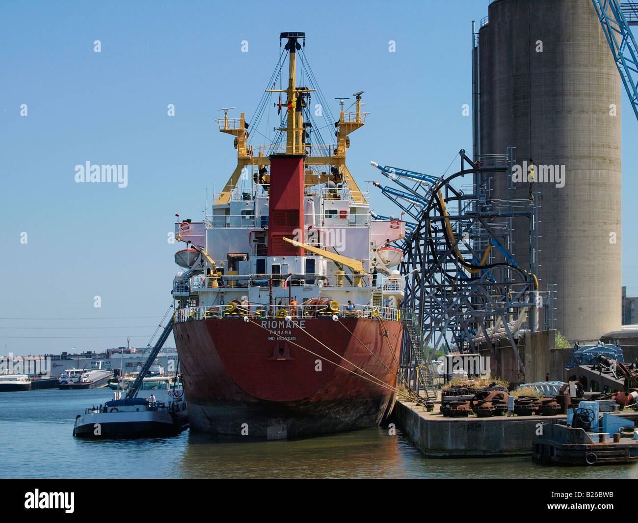 Bulk Carrier Frachter im Hafen von Antwerpen Flandern Belgien thye Stockfoto