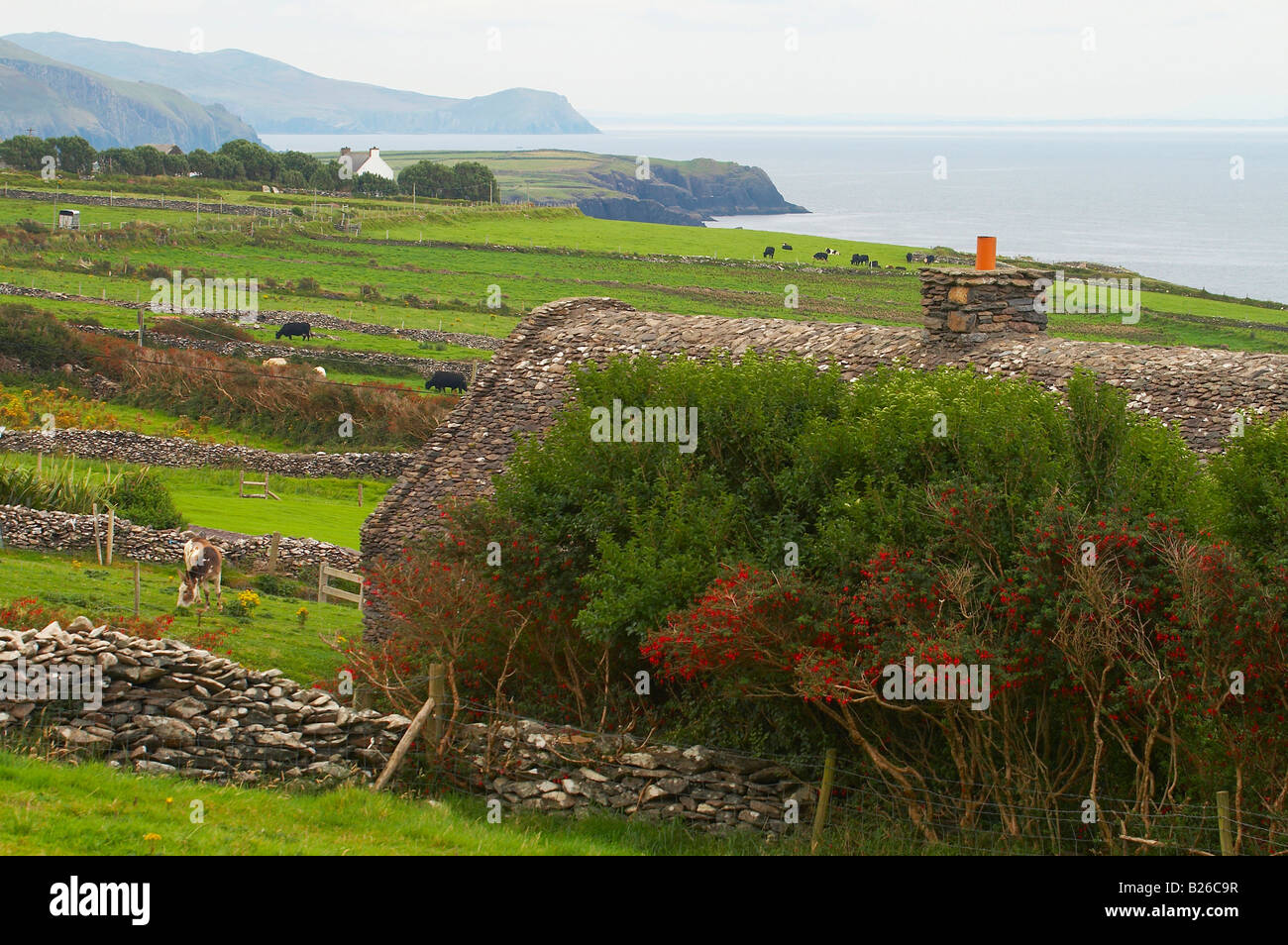 Outdoor-Foto, Haus mit Steindach an die irische Hungersnot Visitor Centre, Halbinsel Dingle, County Kerry, Irland, Europa Stockfoto