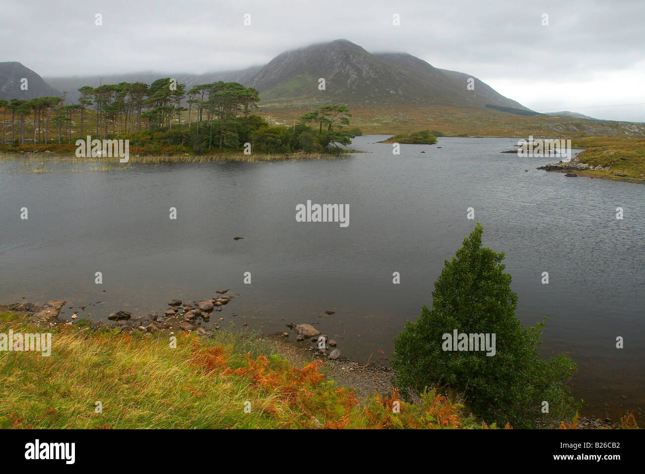 Outdoor-Foto, Derryclare Lough, Nationalpark Connemara, County Galway, Irland, Europa Stockfoto