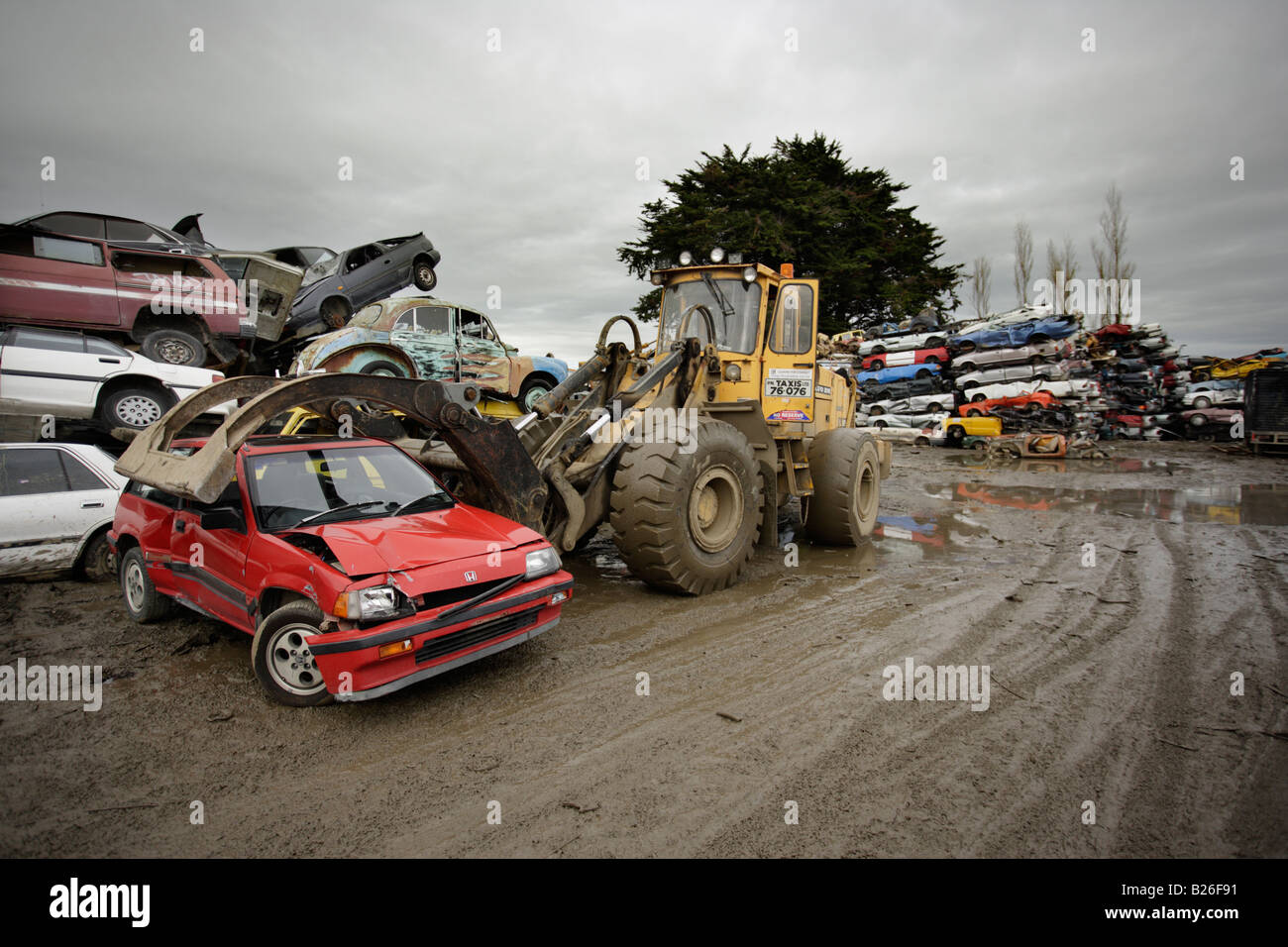 Auto Breakers Yard auf Rädern New Zealand großer Traktor benutzt, um Autos zu bewegen Stockfoto