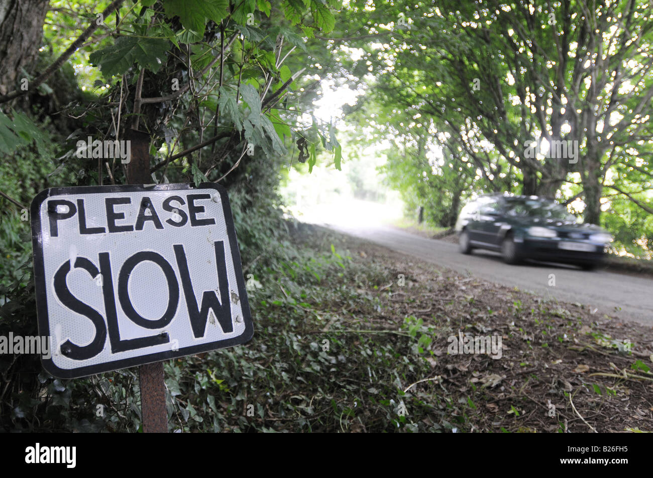 Eine handgefertigte Schild an eine Cornish Straße beantragt, dass Autos verlangsamen Stockfoto