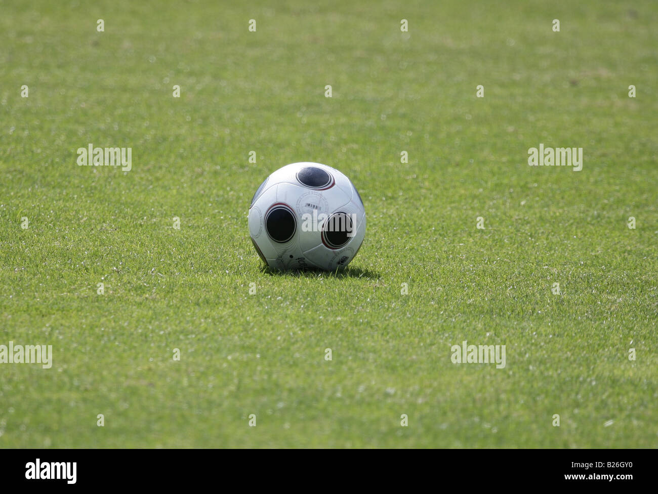 Fußball auf einem grasbewachsenen Platz. Stockfoto