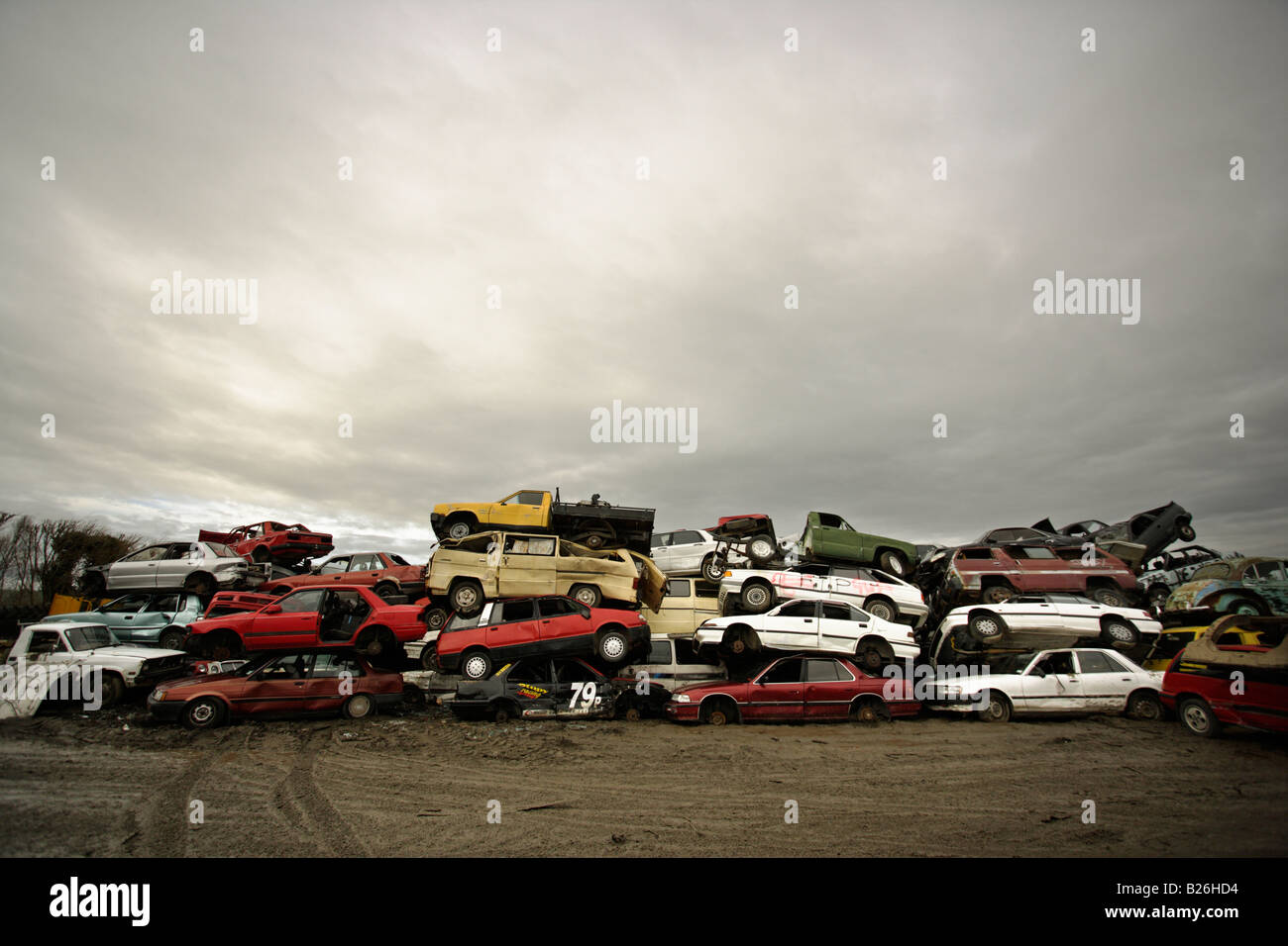 Auto Leistungsschalter Hof Neuseeland Autos gestapelt in Erwartung des Brechers Stockfoto