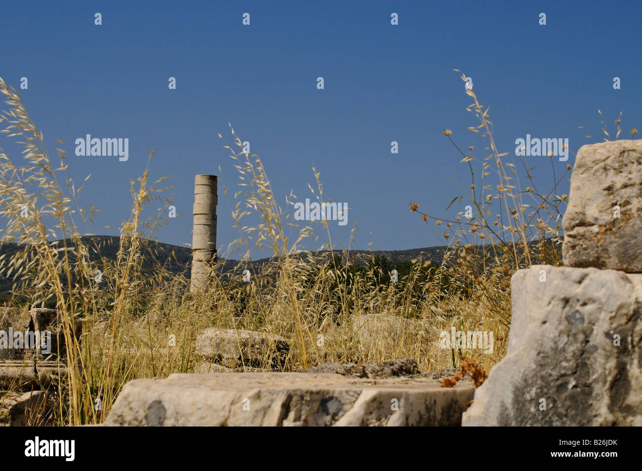 Ausgrabungsstätte Heraion, Hera Temple, Samos, Griechenland Stockfoto