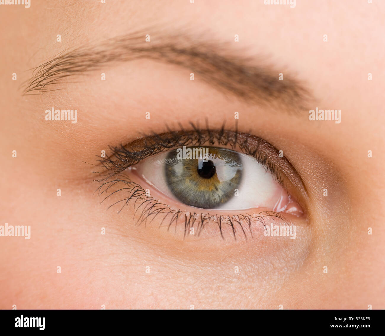 Extreme Nahaufnahme von Frau Auge Stockfoto