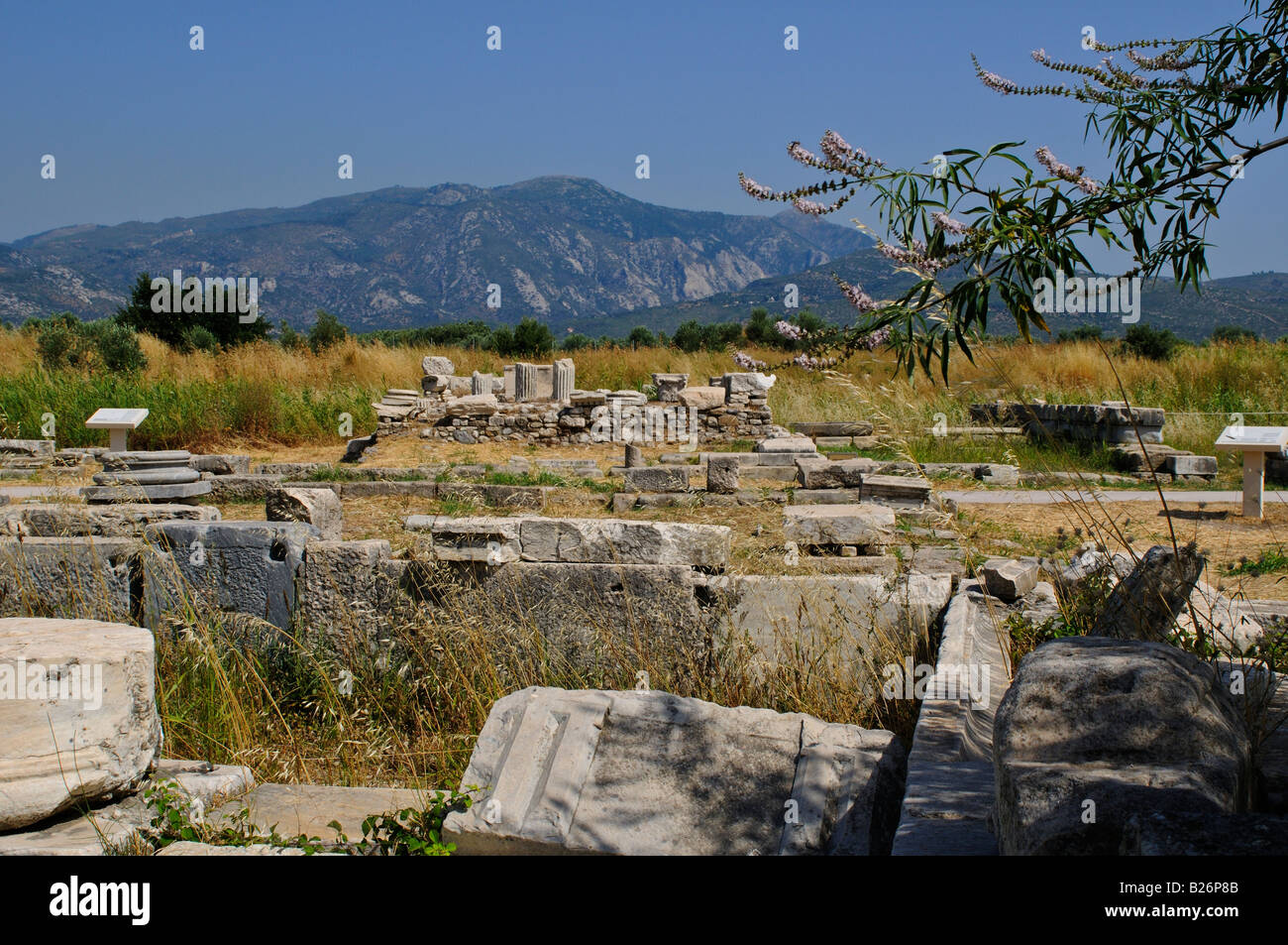 Ausgrabungsstätte Heraion, Hera Temple, Samos, Griechenland Stockfoto