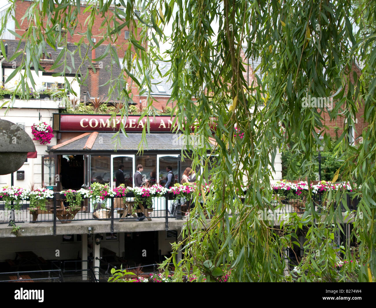 Riverside-Wirtshaus am Fluss Wensum Norwich Norfolk England mit Weide im Vordergrund Stockfoto