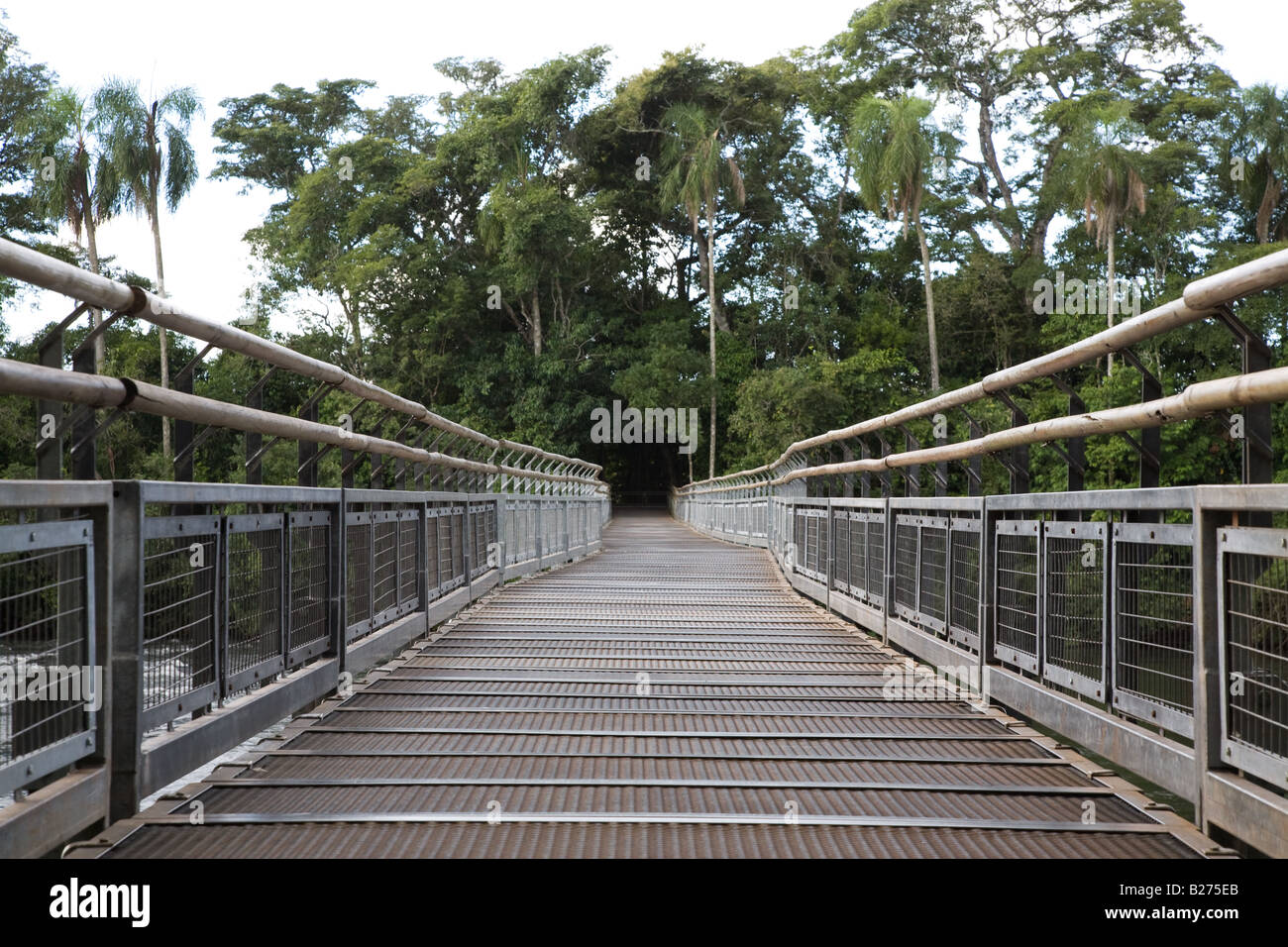 Nationalpark Iguazu Argentinien Stockfoto