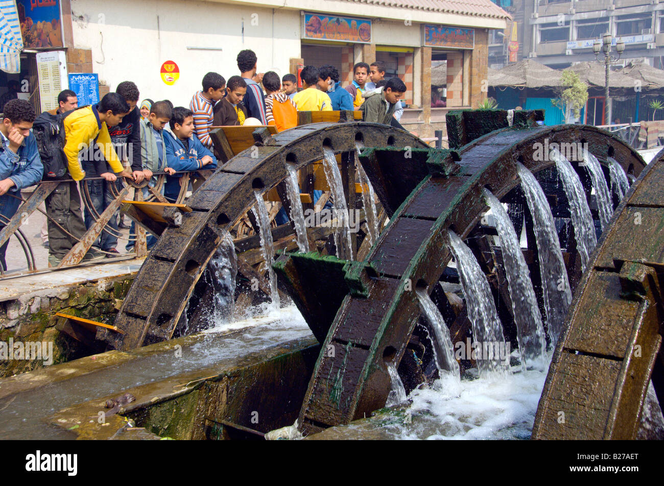 Schülerinnen und Schüler genießen die Wasserräder in der Stadt von El Fayoum-Ägypten Stockfoto